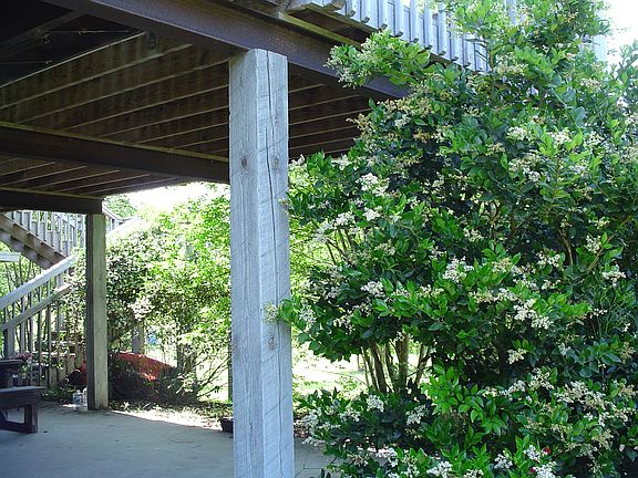 cement pad. stairs to front