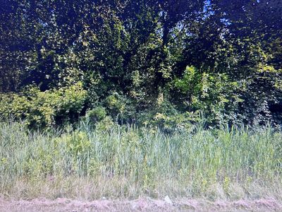 33959 S Beverly Rd W, Romulus, MI, 48174