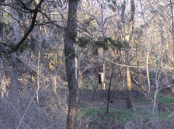 5th image of 15121 Carriage House Ln