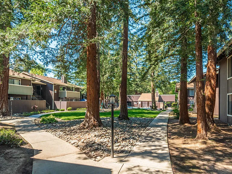 Fulton Woods — Photo 1