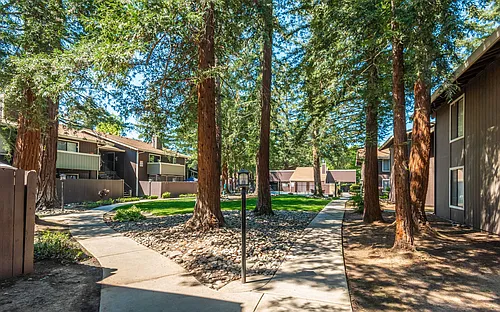 Fulton Woods Photo 1