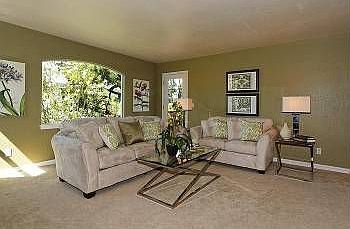 Elegant light filled Living Room