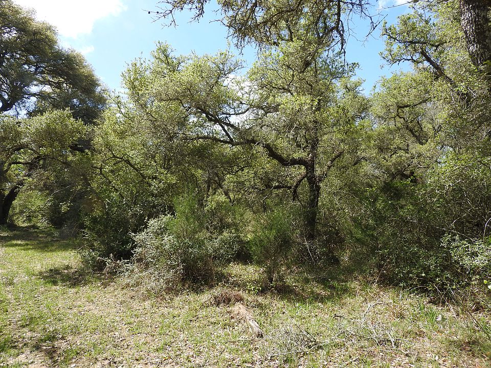 1st image of 38.39 Acres Cr #122