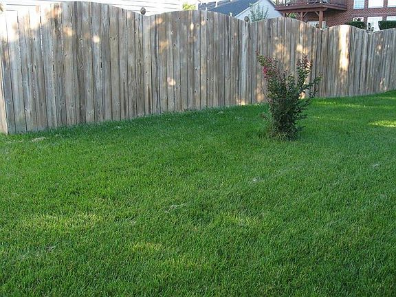5th image of 909 Jouett Creek Dr