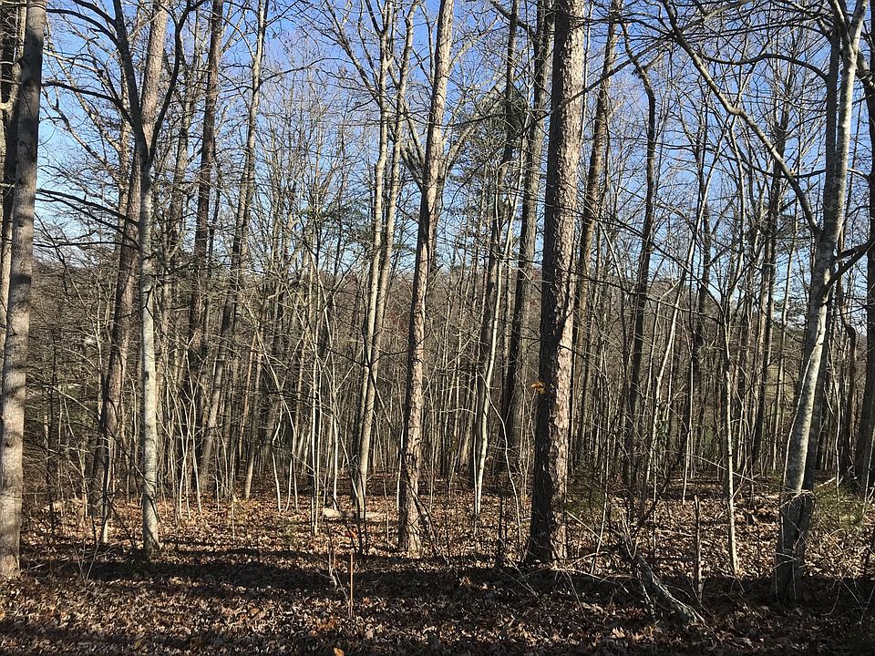 2nd image of 54 Cove Cir