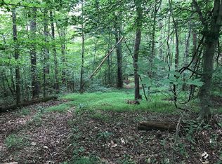 251 Treece Ln, New Tazewell, TN 37825