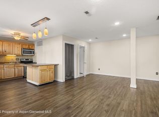 1101 Village Rd #Ll3b, Carbondale, CO 81623