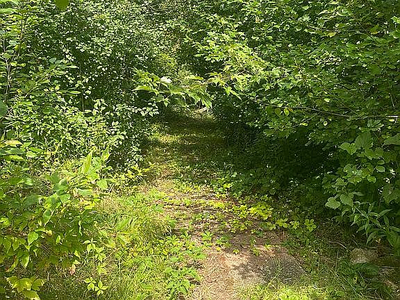 5th image of 4762 Griswold Rd