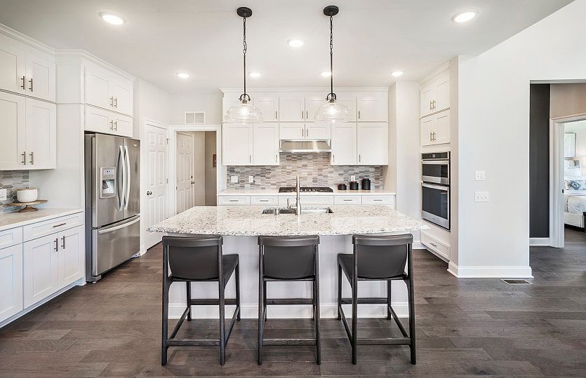 Open kitchen in the Northbrook new construction carriage home