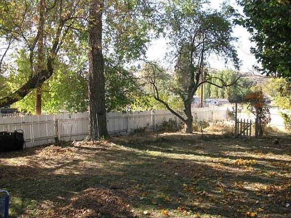 Back yard