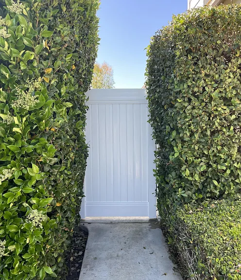 31082 Calle Aragon — Photo 19