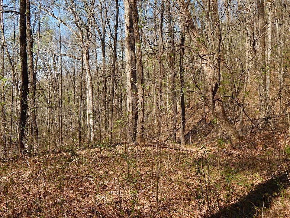 1st image of 12 Two 15& Burnt Leaf Ln
