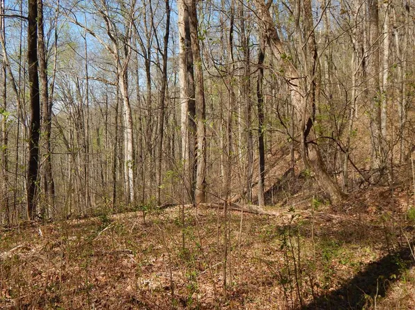 12 Two 15& Burnt Leaf Ln, Hayesville, NC 28904