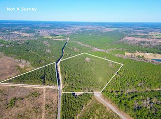 Nhn Gobbler Head, Poplarville, MS 39470