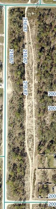 1st image of SNOWY PLOVER AVENUE