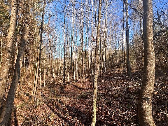 5th image of Furrs Mill Dr NE