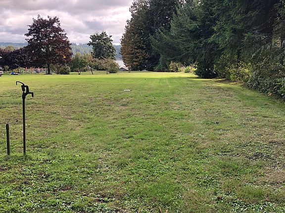 Trees and open space 