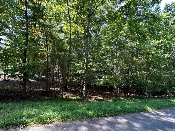 Lori Ln Lot 85, Blairsville, GA 30512