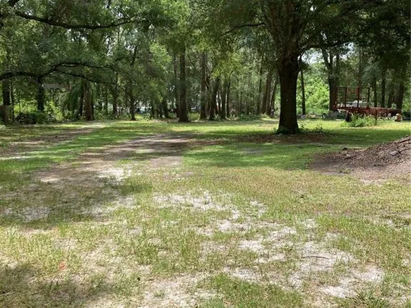Pine Ave, Mount Dora, FL 32757