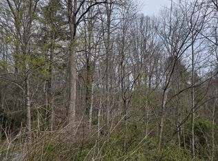 41 Jack Rabbit Dr, Marion, NC 28752