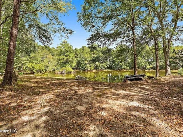 2568 Highway 481, Raleigh, MS 39153