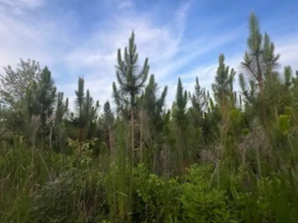 0 Highway 18, Pine Mountain, GA 31822