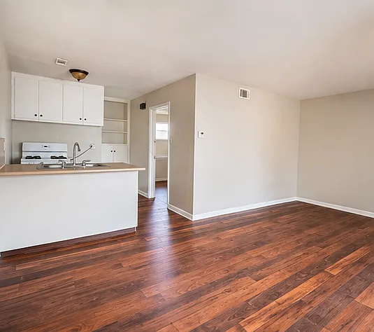 1 bed, $800 — Photo 2