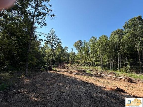 5th image of 10 Frenchman Knob Rd
