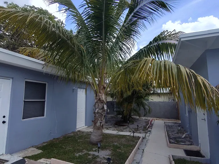 Front of the cottage