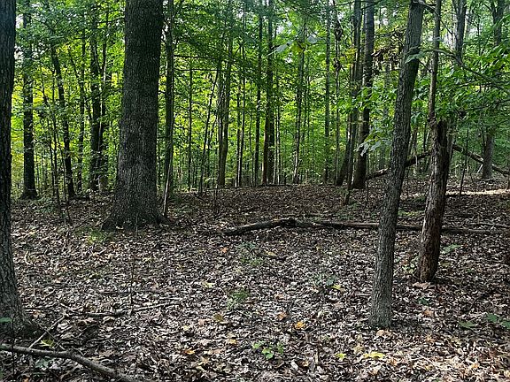 2nd image of 9089 Gold Point Rd