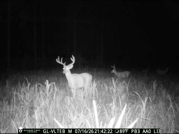 3rd image of 0 Poplar Springs Rd