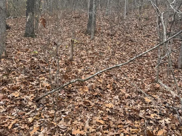 000 County Road 19-301, Eminence, MO 65466