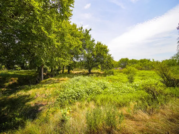 Ballard Rd, Jacksboro, TX 76458