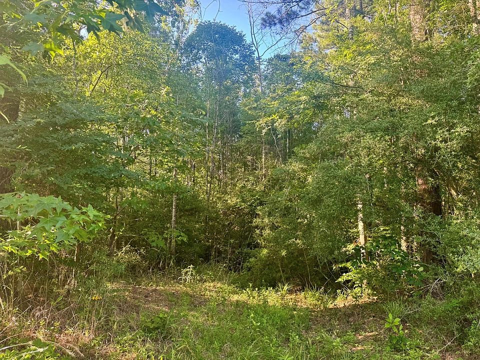 1st image of County Road 1039