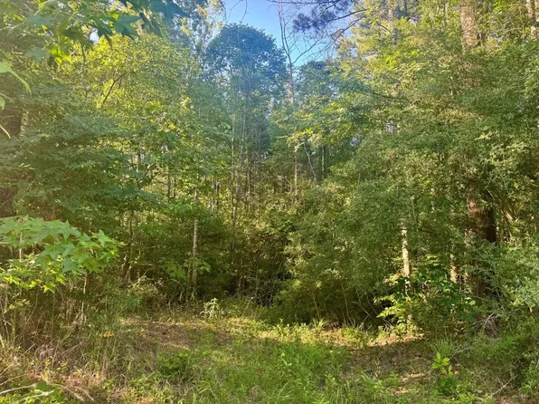 County Road 1039, Burkeville, TX 75932