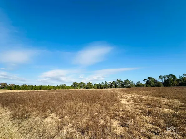 21373 Ima Brill Rd #3, Robertsdale, AL 36567