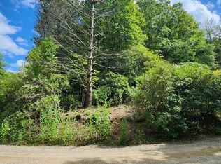 17 Donna Lee Ln #18, Mineral Bluff, GA 30559