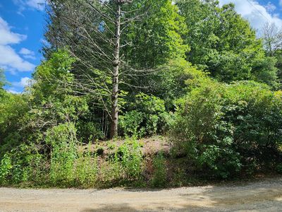 17 Donna Lee Ln #18, Mineral Bluff, GA, 30559