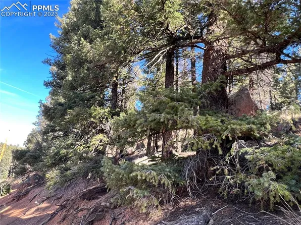 3443 N Mountain Estates Rd, Florissant, CO 80816