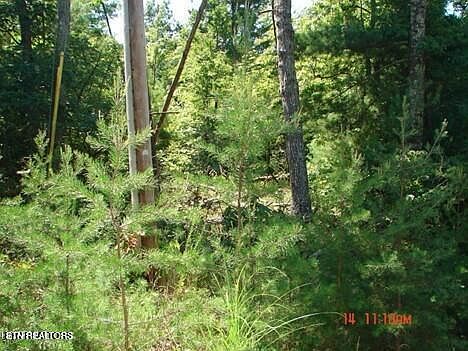 1st image of 175 Pineridge Loop