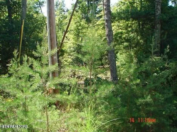 175 Pineridge Loop, Crossville, TN 38558