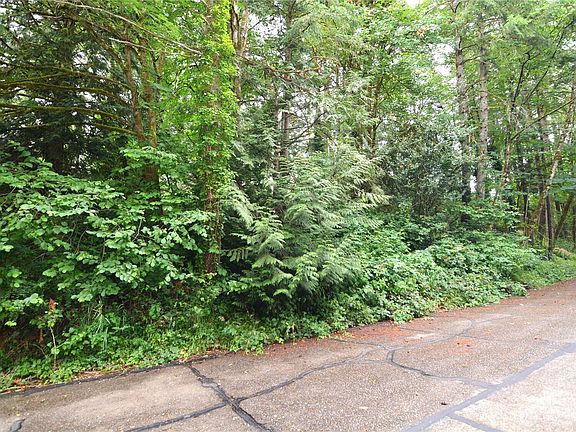 4th image of 2428 Archwood Drive