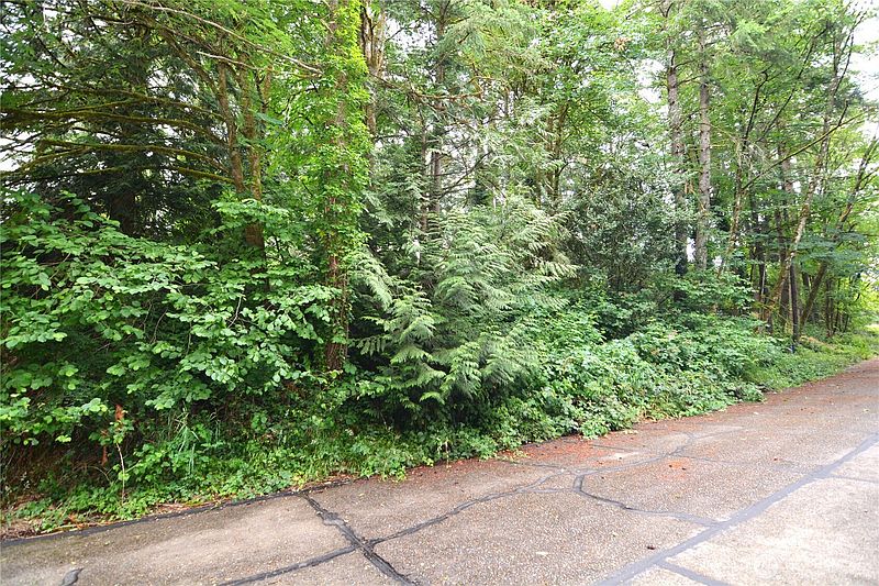 4th image of 2428 Archwood Drive
