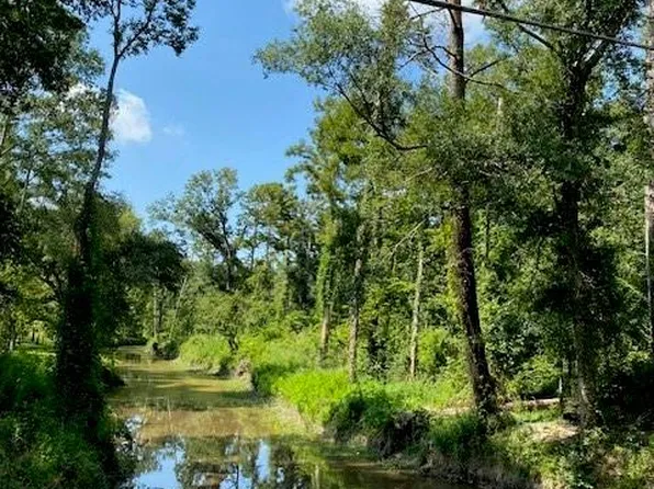 Weinberger Rd, Ponchatoula, LA 70454