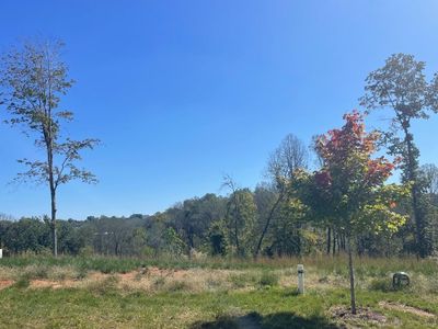 922 Elmwood Ave, Lynchburg, VA, 24503