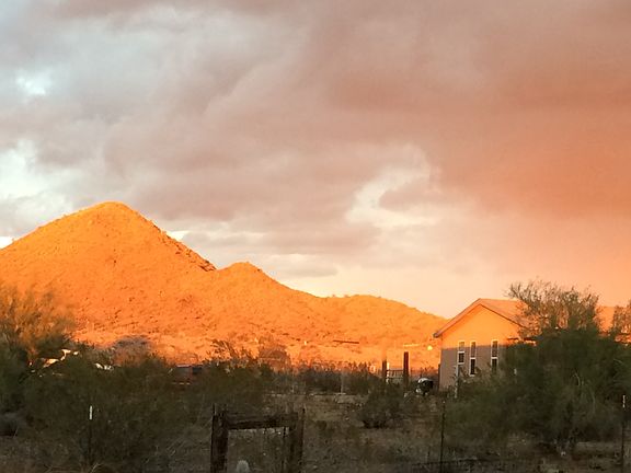 Back Yard View 2