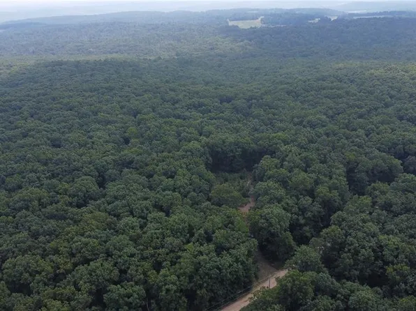 0 Singer Trl, Potosi, MO 63664