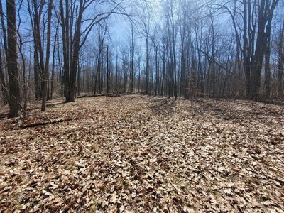 7021 Lake Ave, Mecosta, MI, 49332