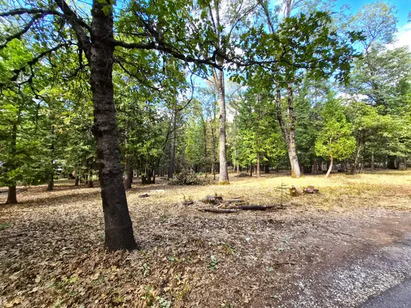 13117 Madrone Forest Dr, Nevada City, CA 95959