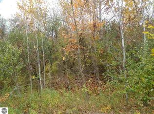 1043 Par Dr LOT 244, Weidman, MI 48893